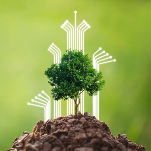 Bando "Servizi per la Transazione Ecologica 2025"