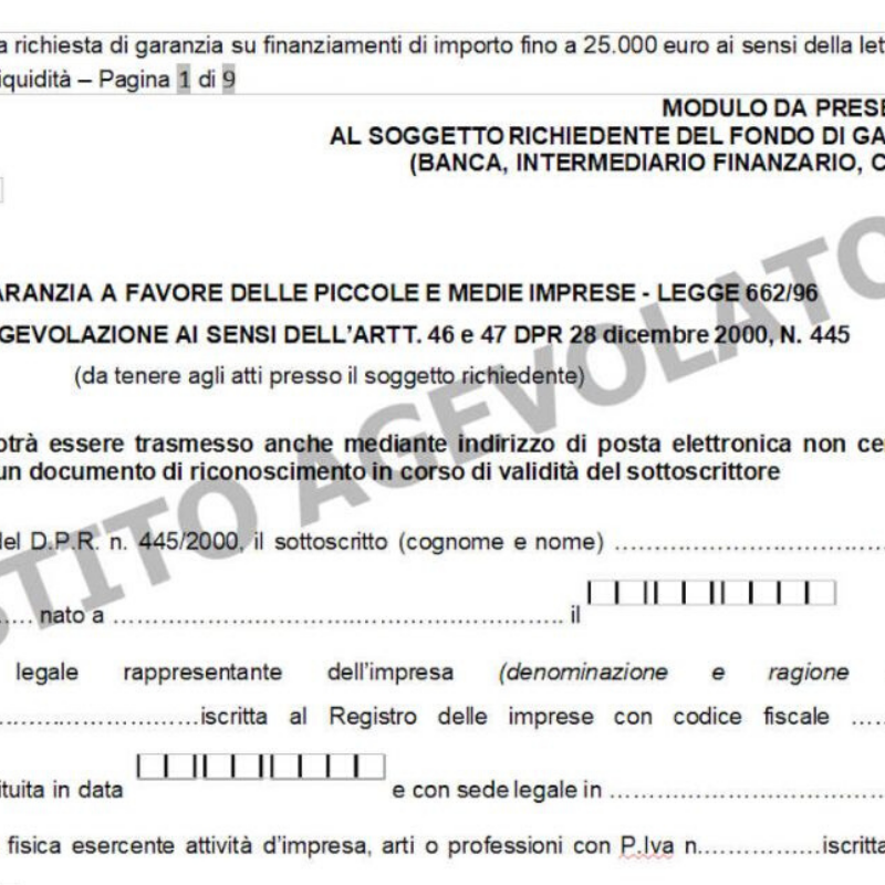 Via alle domande per il fondo di garanzia PMI: ecco come accedere ai finanziamenti 