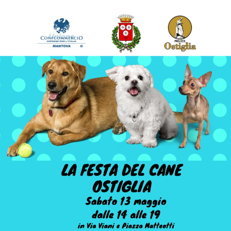 FESTA DEL CANE - OSTIGLIA - SABATO 13 MAGGIO DALLE 14.00 ALLE 19.00 