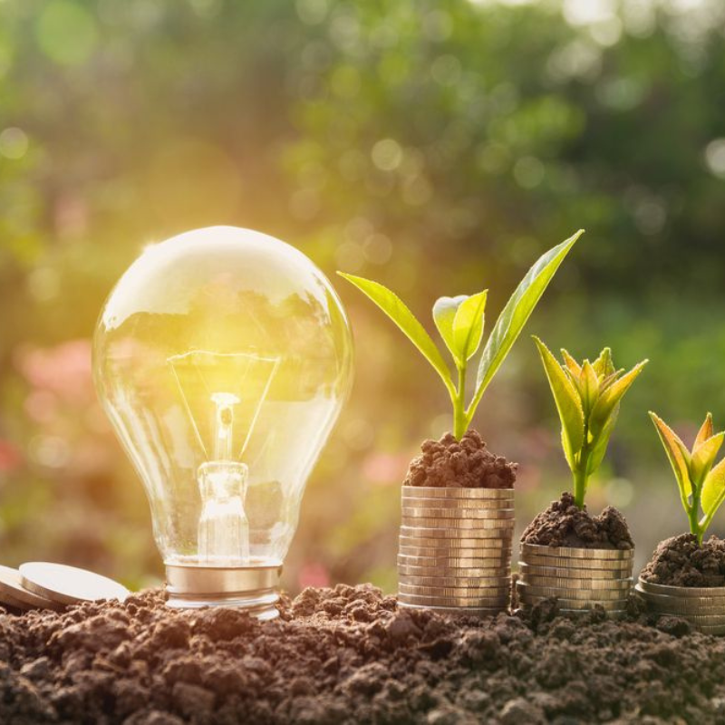 Bando efficienza energetica - contributi per favorire l'efficienza energetica delle imprese turistiche