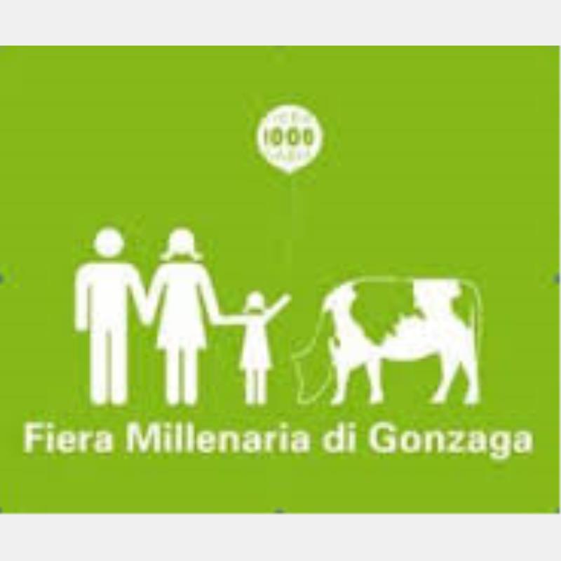 Il 6 settembre torna la Fiera Millenaria: a Gonzaga anche le imprese di Confcommercio Mantova