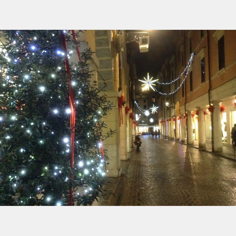 Luminarie, pista di ghiaccio e bancarelle: Confcommercio porta il Natale in città