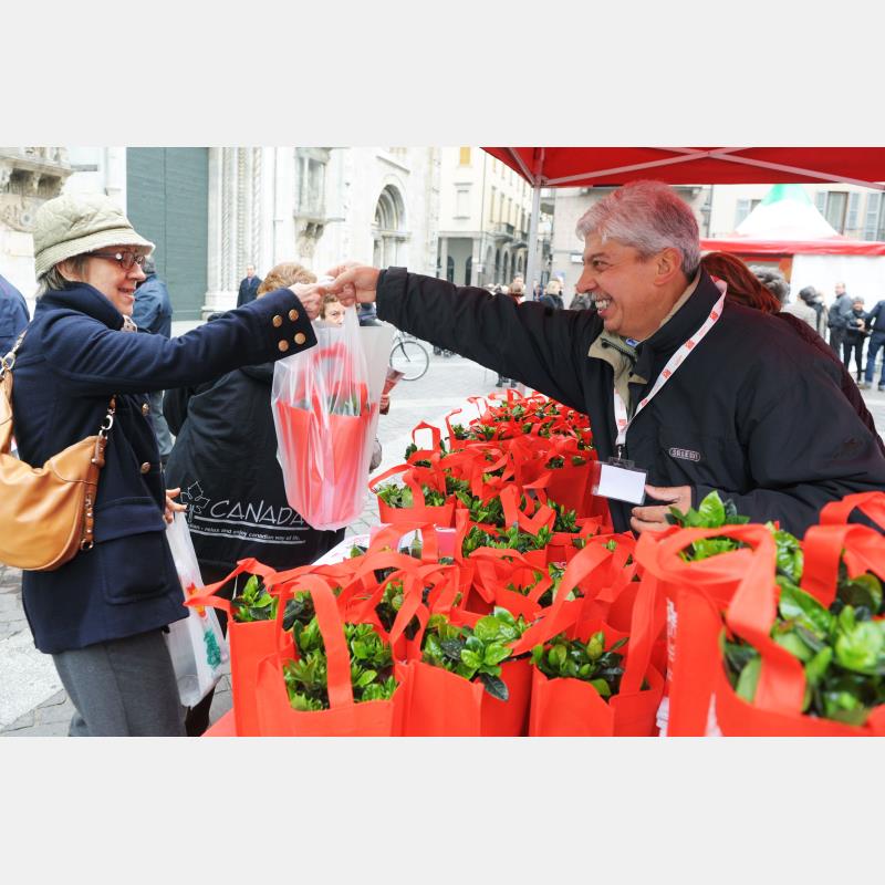 Mercatini e vendite benefiche, la Regione approva nuove regole per porre un freno alla miriade di iniziative estemporanee